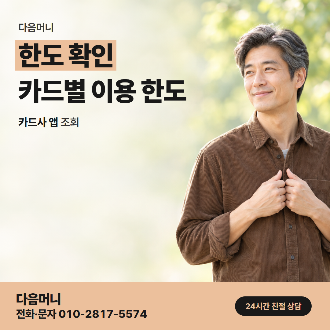 다음머니 천안카드깡 카드사 앱 조회 화면